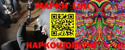 mdma Гатчина