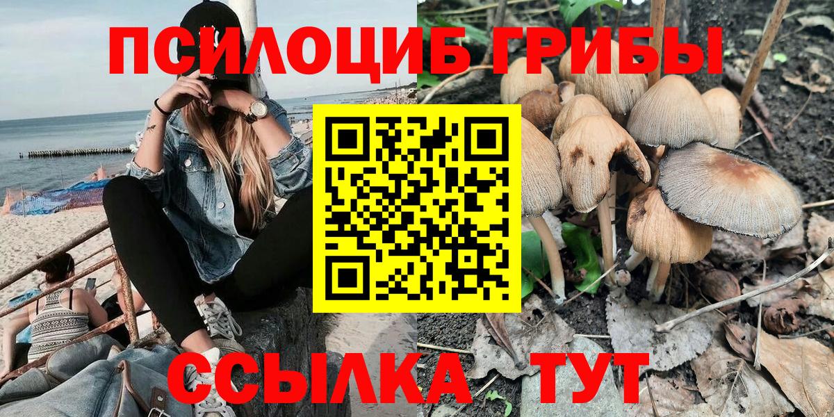 Псилоцибиновые грибы Psilocybe  Вход с VPN  Тихорецк 