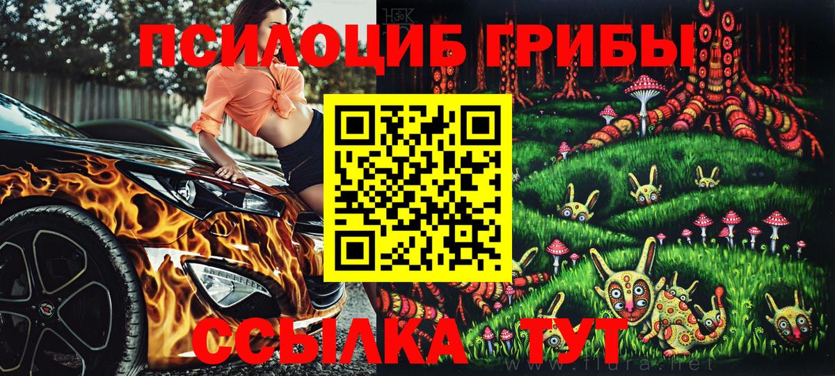 Псилоцибиновые грибы Psilocybe Тихорецк